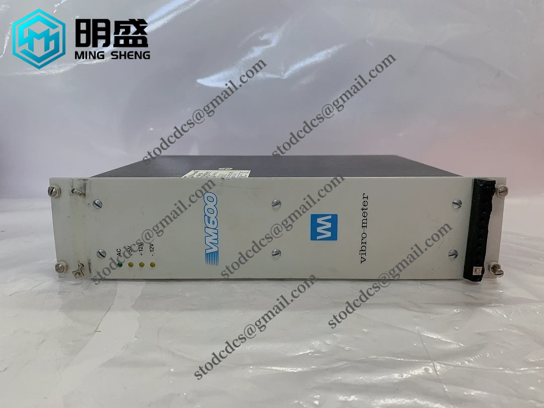 Vibro-meter VM600 RPS6U 接口模块